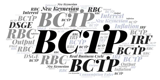 Business Cycles Theory and Policy (BCTP)